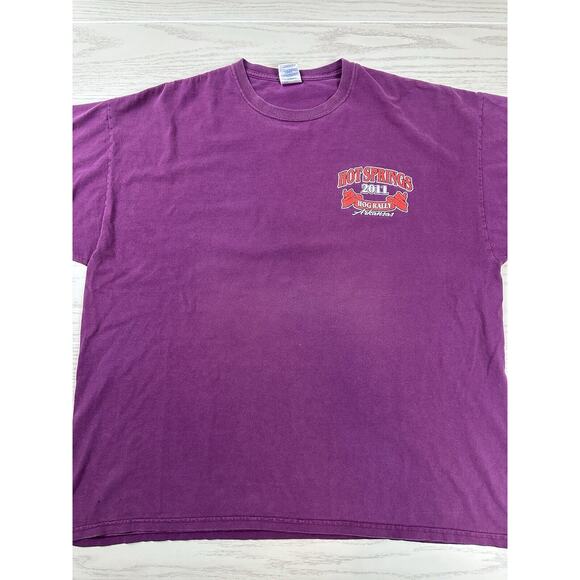 Y2K Hot Springs Hog Rally Shirt - Picture 2 of 6